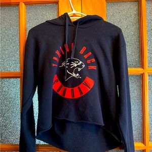 Taking Back Sunday Cropped Hoodie
